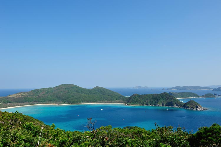 高月山からの眺め